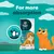 Breeder Celect Cat Litter packaging with text stating 'For more absorption' and a badge reading 'Highly absorbent'.