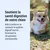Soutient la santé digestive de votre chien. Aide à renforcer et à restaurer le système digestif, tout en favorisant la récupération nutritionnelle. Soutient la santé digestive de votre chien. Aide à renforcer et à restaurer le système digestif, tout en favorisant la récupération nutritionnelle.