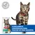 Hill's Science Plan Perfect Weight Adult 1+ frango ração para gatos