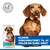 Hill's Science Plan Perfect Weight Adult 1+ Small & Mini med kylling