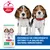 Hill's Science Plan Puppy <1 Medium  con pollo