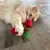Cat playing with a red plush toy shaped like cherries with a green leaf on wooden floor.