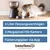 Beeztees Futterautomat mit 4 Liter Fassungsvermögen, 3-Megapixel-HD-Kamera und Fütterungsplan via App. Katze frisst aus dem Napf des Automaten.