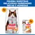 Hill's Science Plan Perfect Digestion Adult pollo