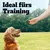 Hund sitzt auf einer Wiese und schaut eine Hand mit Leckerli an. Text: Ideal fürs Training.