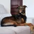 Virbac Veterinary HPM Dog Adult Large & Medium Hondenvoer Virbac Veterinary HPM Dog Adult Large & Medium Hondenvoer