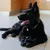 Schwarzer Hund mit gestreiftem Halsband liegt auf dem Boden und hält ein schwarzes rundes Spielzeug zwischen den Pfoten. Schwarzer Hund mit gestreiftem Halsband liegt auf dem Boden und hält ein schwarzes rundes Spielzeug zwischen den Pfoten.