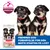 Hill's Science Plan Medium Puppy Perfect Digestion
