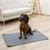 Hund sitzt auf einer grauen, rutschfesten Matte mit Wabenmuster in einem Wohnzimmer mit Holzboden und Sofa im Hintergrund.