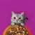 Whiskas 1+ Duo Classic Combos lam & kalkun Whiskas 1+ Duo Classic Combos lam & kalkun