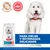 Hill's Science Plan Hypoallergenic Adult Medium con salmón