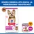 Hill's Science Plan Adult 1-6 Small & Mini lammas & riisi
