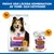 Hill's Science Plan Adult Hund Sensitive Stomach & Skin Hill's Science Plan Adult Hund Sensitive Stomach & Skin
