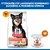 Hill's Science Plan Perfect Digestion Adult Small & Mini Mousse