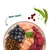 Schale mit Trockenfutter, Blaubeeren, rohem Fleisch, Erbsenschote und Cranberrys. Text: nom nom! Schale mit Trockenfutter, Blaubeeren, rohem Fleisch, Erbsenschote und Cranberrys. Text: nom nom!