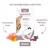 Sanabelle Urinary mit frischem Huhn, antioxidative Pflanzenstoffe, für ausgewachsene Samtpfoten, low Protein, reduzierter Mineralstoffgehalt, 2 kg Beutel abgebildet. Sanabelle Urinary mit frischem Huhn, antioxidative Pflanzenstoffe, für ausgewachsene Samtpfoten, low Protein, reduzierter Mineralstoffgehalt, 2 kg Beutel abgebildet.