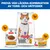 Hill's Science Plan Sterilised Cat Adult 1-6 torr- och våtfoder med kyckling, kombination av portionspåse, burk och fodersäck. Hill's Science Plan Sterilised Cat Adult 1-6 torr- och våtfoder med kyckling, kombination av portionspåse, burk och fodersäck.