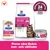 Hill's Prescription Diet Gastrointestinal Biome för katter, digestive/fibre care, kliniskt bevisad, frisk avföring på 24 timmar. Prova torr- och våtfoder.