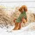 Rukka Wooly Maglioncino per cani , oliva Rukka Wooly Maglioncino per cani , oliva