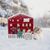 MjAMjAM Adventskalender für Katzen