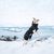 Rukka® Warmup Hundemantel 2.0, schwarz
