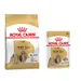 Royal Canin Breed Dry Dog Food + Royal Canin Wet Dog Food - 15% Off! * - Shih Tzu Adult (7.5kg) + Shih Tzu Adult Loaf (12 x 85g)