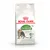 Royal Canin Active Life Outdoor 7+ anni, immagine di gatto adulto sulla confezione. Testo visibile: Vitality Complex, Feline Health Nutrition.