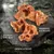Wolf of Wilderness Schweineohrmuscheln "Vast Pasture" - 5 kg Wolf of Wilderness Schweineohrmuscheln "Vast Pasture" - 5 kg
