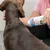 Persona applica Trixie Trocken Shampoo in polvere sul dorso di un cane marrone. Etichetta visibile con immagine di cane e gatto.