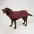Nomad Tales Spirit Softshell-Hundemantel, burgunderrot Nomad Tales Spirit Softshell-Hundemantel, burgunderrot