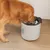 Zeus Oasis Drinking Fountain - Grey Zeus Oasis Drinking Fountain - Grey