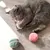 Aumüller Jouet Macarons pour chat Aumüller Jouet Macarons pour chat