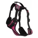 Rukka Geschirr Solid, fuchsia - Grösse XS: Brustumfang 42 - 50 cm