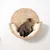 Circuito para gatos Modern Living Manarola, beige - Cama de pared Manarola Circuito para gatos Modern Living Manarola, beige - Cama de pared Manarola