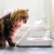 Katze betrachtet einen automatischen Futterspender mit transparentem Deckel und rosa Futterschale. Geeignet für kontrollierte Fütterung.