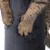 Pattes de chat posées sur un griffoir recouvert de tissu gris foncé, griffes visibles. Matière du griffoir clairement en tissu.