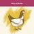 Texto visible: Rico en Pollo, ilustración de una gallina sobre fondo amarillo. Indica contenido destacado de pollo en el producto.