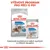 ROYAL CANIN LIGHT WEIGHT CARE MAXI a ALL SIZES, suché a vlhké krmivo pro psy. Výživový program pro péči o psy. -35 % fat. 85 g. Dokonalá kombinace našich suchých a vlhkých receptur.