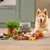 Box labelled 'Forthglade variety 6 pack' displayed with fresh ingredients including meat, vegetables and herbs, alongside a dog lying nearby.