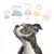 Pure food, Perfect protein & fat balance, Care for all animals, For a better planet, Happy & healthy dogs. Text above dog image with icons.