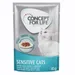 Concept for Life Sensitive Cats -kuivaruoka - oheen: 12 x 85 g Concept for Life Sensitive Cats kastikkeessa