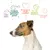 Testi visibili: Cibo puro, Perfetto equilibrio proteine-grassi, Benessere degli animali, Per un pianeta migliore, Cani sani e felici. Immagine di cane con illustrazioni.