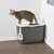 Grijze kattenbak met wit deksel en schepje aan de zijkant, kat staat bovenop het deksel. Materiaal: kunststof.