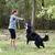 Person zeigt, wie ein Hund mit einem lila Spielzeug im Freien spielt. Demonstration der Nutzung des Spielzeugs für aktive Beschäftigung. Person zeigt, wie ein Hund mit einem lila Spielzeug im Freien spielt. Demonstration der Nutzung des Spielzeugs für aktive Beschäftigung.