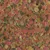 Bunte Flockenfischfutter-Mischung in verschiedenen Farben: Rot, Grün, Gelb und Braun. Bunte Flockenfischfutter-Mischung in verschiedenen Farben: Rot, Grün, Gelb und Braun.