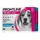 PROMO: 12 pipette, peso 10-20kg (protetti tutto l'anno!)