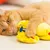 Red cat playing with yellow plush toy featuring a smiling face.