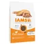 IAMS Advanced Nutrition Kitten sa svježom piletinom - 2 x 10 kg
