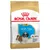 Royal Canin Shih Tzu Puppy Crocchette per cane - 1,5 kg