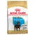 Royal Canin Puppy Rottweiler, hasta 18 meses. Apoya el sistema inmunitario, desarrollo muscular y óseo, croquetas adaptadas.